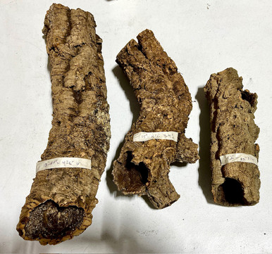 Tubular Cork (For Mounting Orchids)