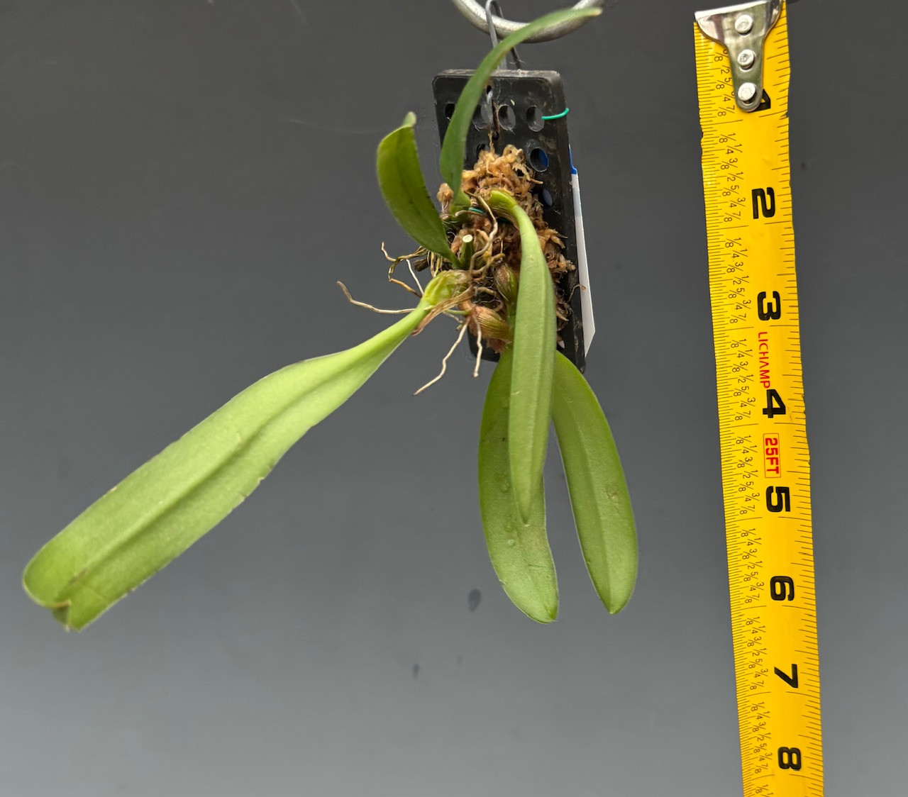 1773be0b-1d7d-4862-b910-6fee69812398