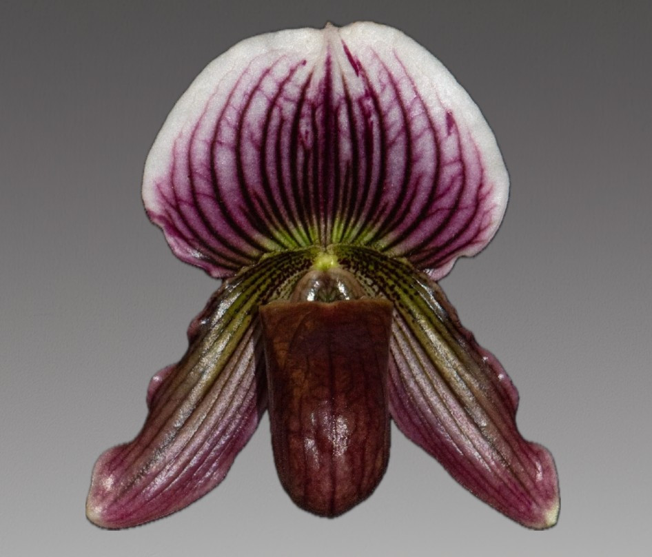 2e507ef9-f06c-458a-b368-76877b554106