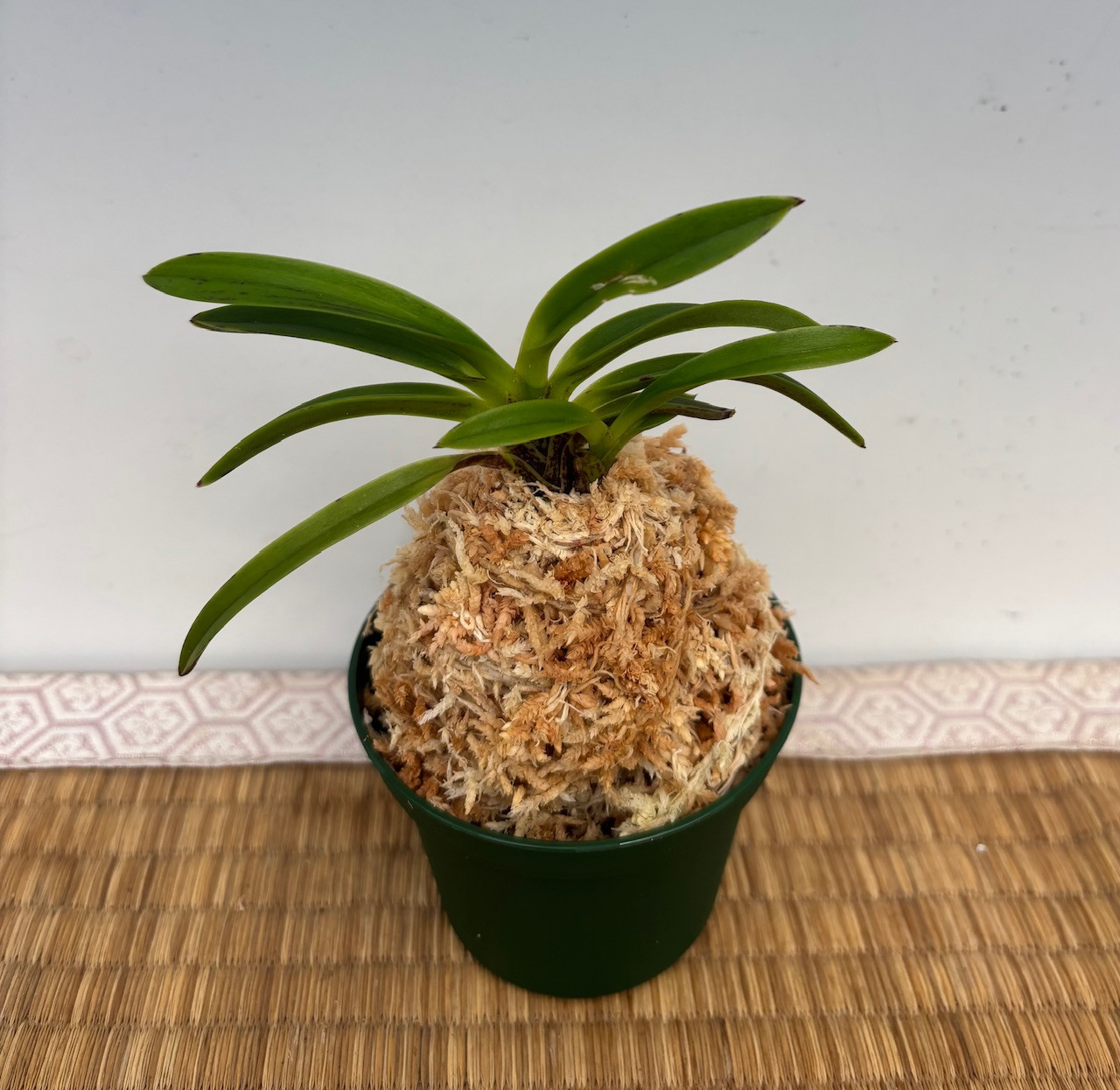 1d915b15-10e5-4aac-af2f-7d5f004b0518