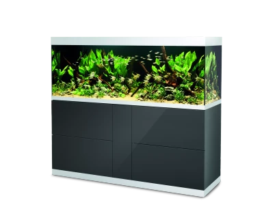 HighLine white glass 600 anthracite INT