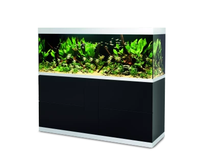 HighLine white glass 600 black INT