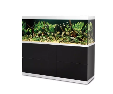 HighLine white glass 600 black INT
