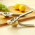 Limona Lemon Press Jumbo Size For The Love Of Lemons