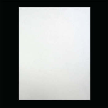8.375 in W x 10.875 in L BS5609* Certified Matte Film Inkjet Labels, Fanfold, White, Aggressive Adhesive, Perf, 1 Stacks, 1,000 Labels/Stack, 1 Case (1,000 Labels), Black Rhino Preferred