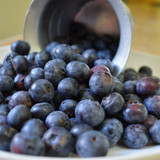 Koinonia Farm Fresh Blueberries Close-Up
