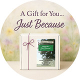 5 Item Create Your Own Gift — StandardPlus Gift Box