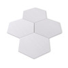 Dolomite 7" Hexagon Mosaic Tile Polished