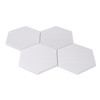Dolomite 7" Hexagon Mosaic Tile Polished
