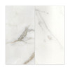 3x6 Subway Tile Honed Calacatta Gold Italian Marble