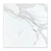 12x12 Calacatta Gold Marble Tile Polished