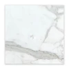 Calacatta Gold Italian Marble 18x18 Tile Honed