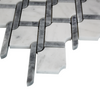 Carrara Marble Marbella Lynx Rope Design with Bardiglio Gray Honed Mosaic Tile