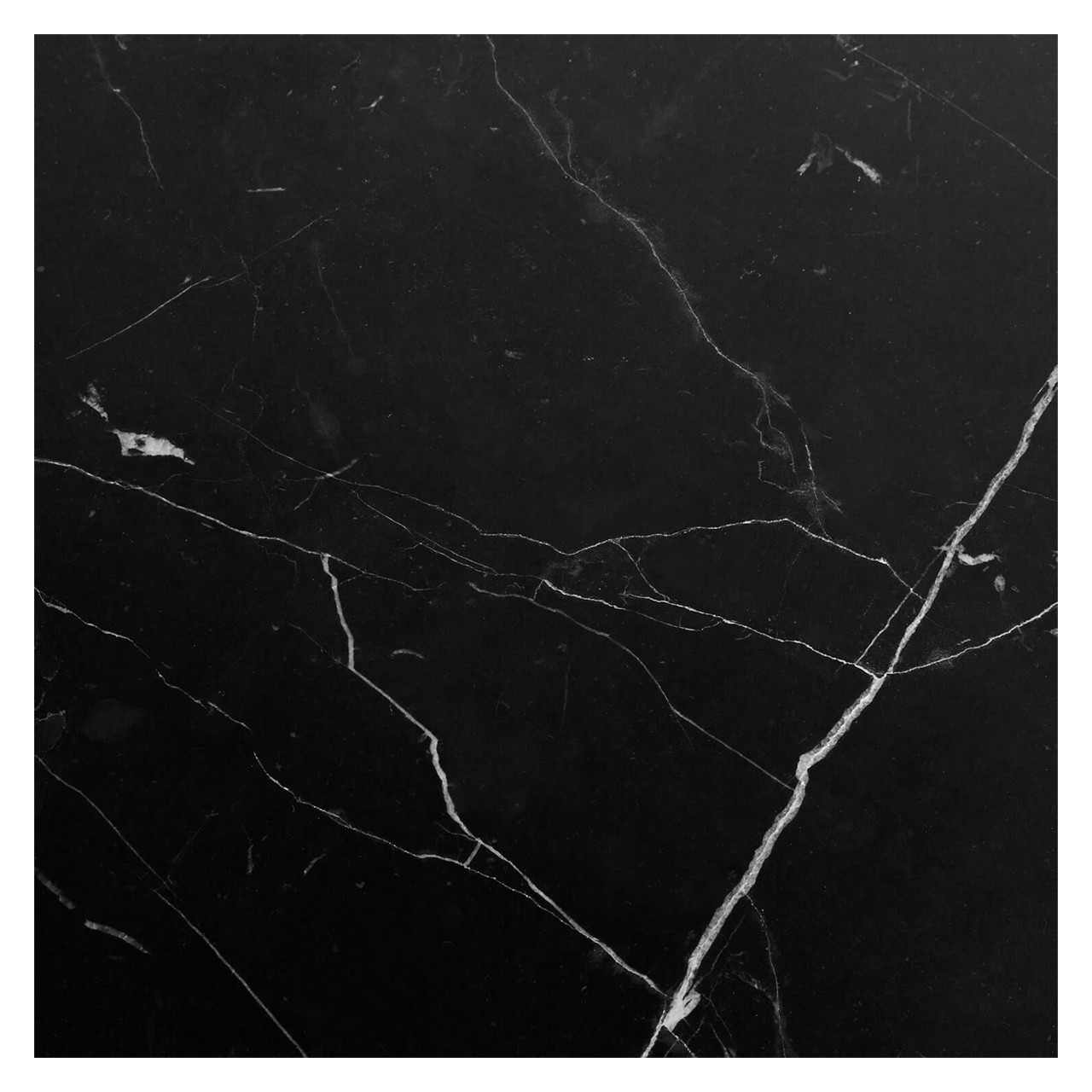 TIDE BLOOM nap, 2021 大理石 Black Marble Nero Marquina Black Marble 24x24 Marble Tile Polished