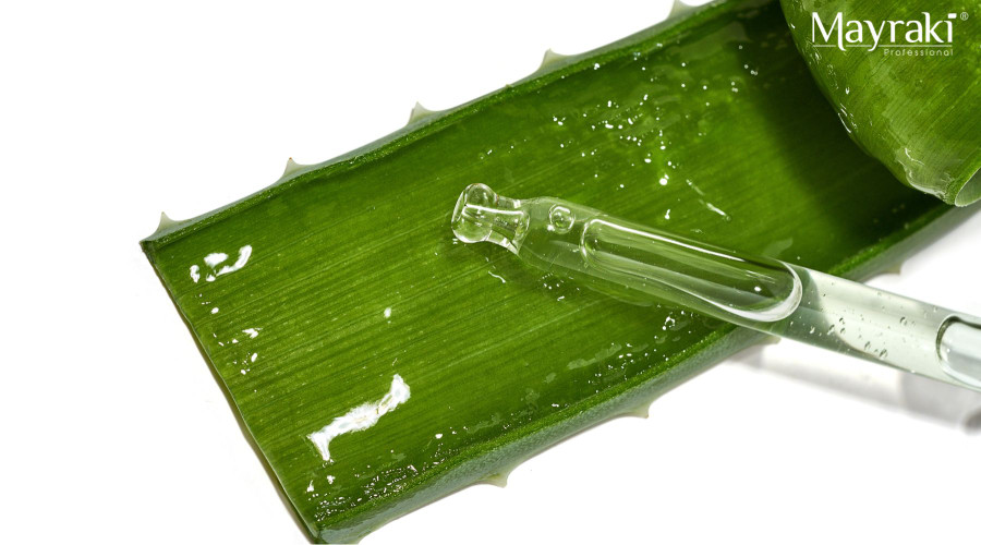Aloe Vera for Beard Care Aloe Vera for Beard Care