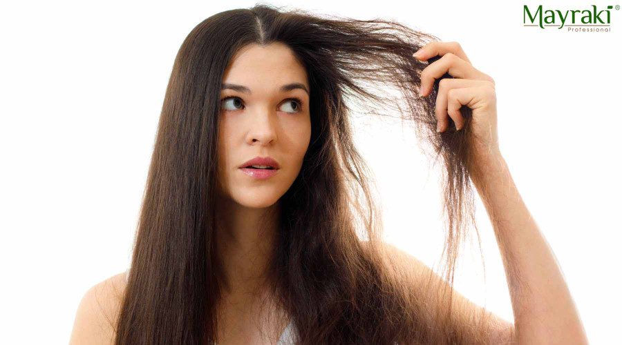 What Causes Frizzy Hair?