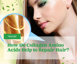 How Collagen Amino Acids Help to Repair Hair?