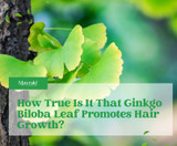 How True Is It That Ginkgo Biloba Leaf Promotes Hair Growth? How True Is It That Ginkgo Biloba Leaf Promotes Hair Growth?