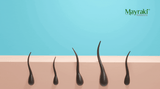 How Long Does Hair Grow in a Month?