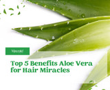 The 5 Miracle Benefits of Aloe Vera for Hair The 5 Miracle Benefits of Aloe Vera for Hair