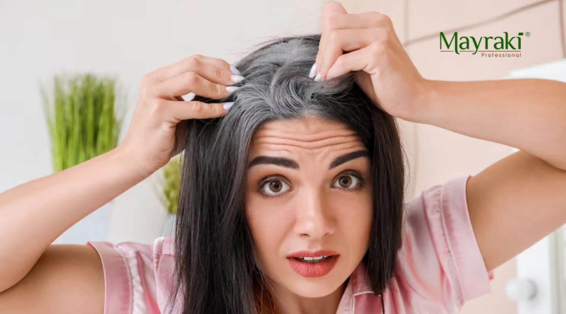 melanotan grey hair The Science of Gray Hair Reversal: Can Herbal Compounds Reactivate Melanin  Production?