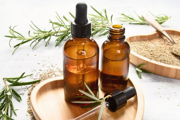 branch, rosemary, blossom