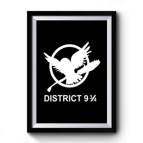 District 9 Harry Potter Premium Poster