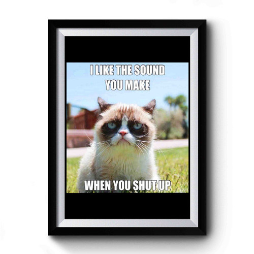 I Like The Sound You Make Whenyou Shut Up Premium Poster