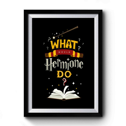 What Would Hermione Do 1 Premium Poster