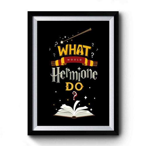 What Would Hermione Do 2 Premium Poster