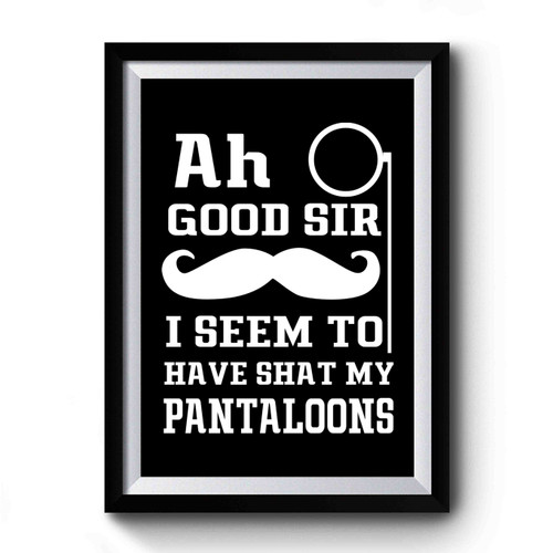 Ah Good Sir I Seem To Have Shat In My Pantaloons Funny Premium Poster