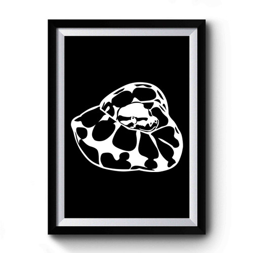 Ball Python Snake Cute For Snake Lovers Premium Poster Ball Python Snake Cute For Snake Lovers Premium Poster