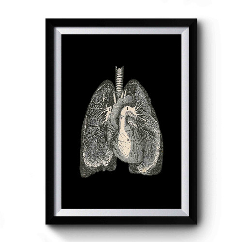 Healthy Retro Lungs Medical Anatomy Doctor Dr Unique Premium Poster