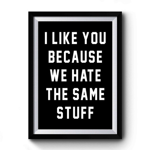 I Like You Because We Hate The Same Stuff Gift For Best Friend Premium Poster