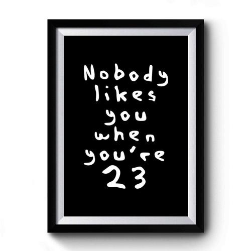 Nobody Likes You When You're 23 Blink 182 Lyrics Premium Poster