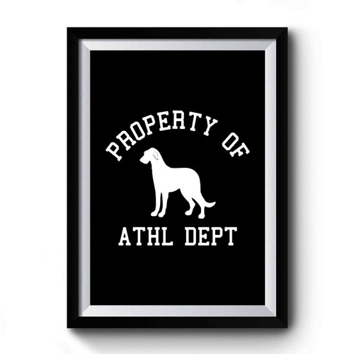 Property Of Irish Wolfhound Premium Poster
