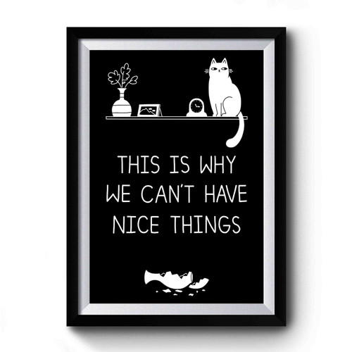 This Is Why We Can't Have Nice Things Premium Poster