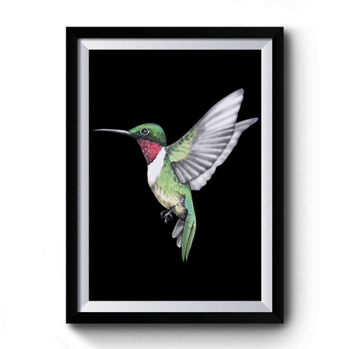 Hummingbird Vintage Retro Premium Poster