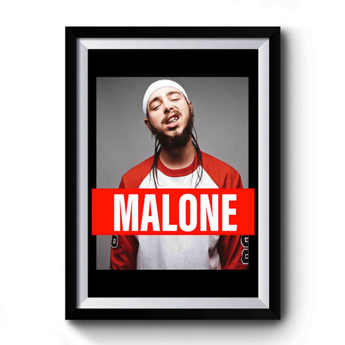 Post Malone Art Funny Premium Poster