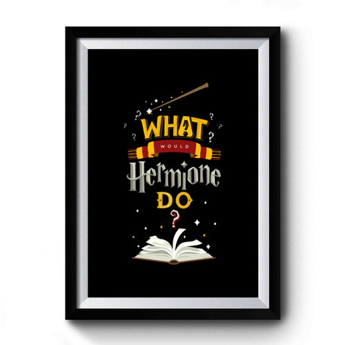 What Would Hermione Do Design Funny Premium Poster