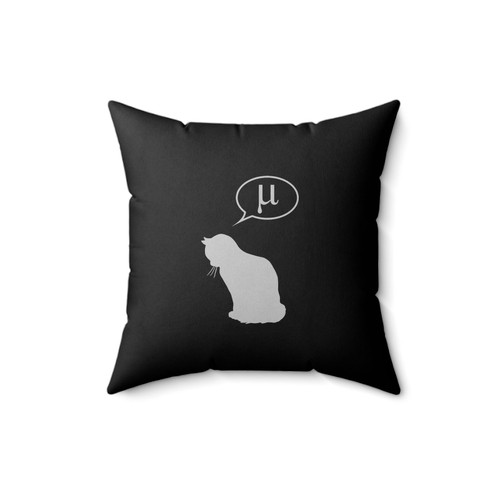 Physics Cat And Friction Coefficient Square Pillow Cover