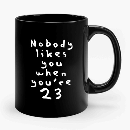 Nobody Likes You When You're 23 Blink 182 Lyrics Ceramic Mug