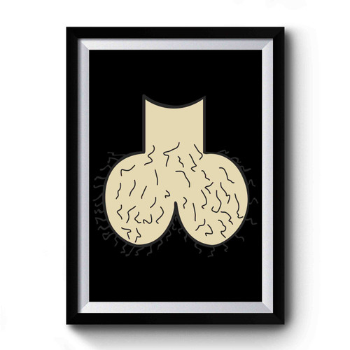 Dick Head Ball Sack Premium Poster