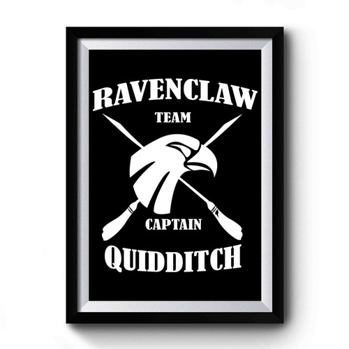 Harry Potter Ravenclaw Quidditch Ravenclaw Team Captain Hogwarts Premium Poster