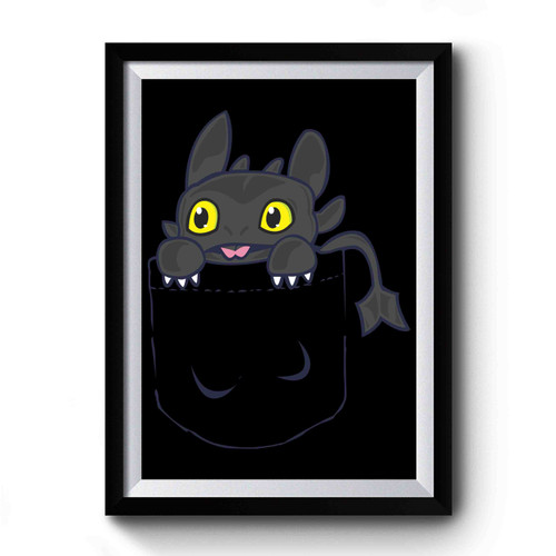 Toothless Pocket How To Train Your Dragon Toothless Premium Poster