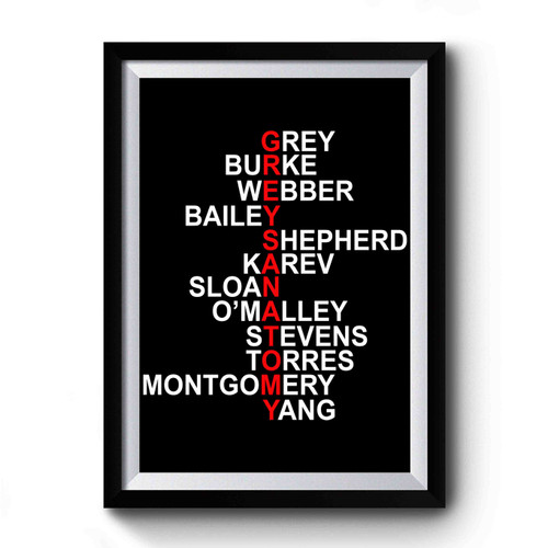 Greys Anatomy Characters Premium Poster