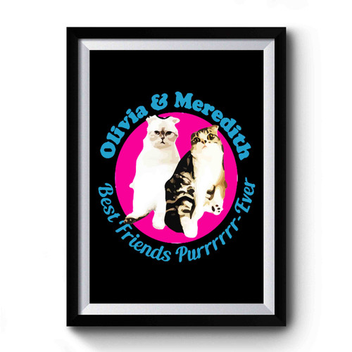 Olivia And Meredith Best Friends Funny Cat Graphic Premium Poster