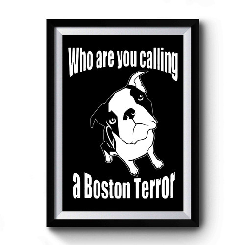 Who Are You Calling A Boston Terror Funny Premium Poster