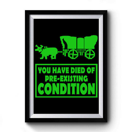 You Have Died Of Pre-Existing Condition Premium Poster