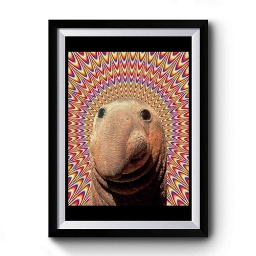 Elephant Seal Funny Trippy Psychedelic Premium Poster